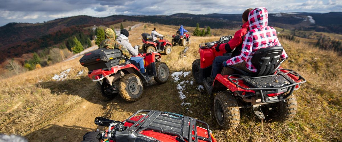 Riders on ATVs in tall grass